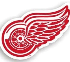 Detroit Red Wings NHL 12" Car Magnet
