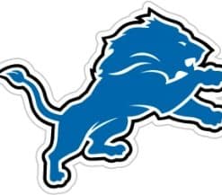 Detroit Lions NFL 12" Logo Car Magnet