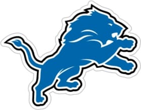 Detroit Lions NFL 12" Logo Car Magnet