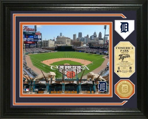 Detroit Tigers MLB Single Coin Stadium Photo Mint