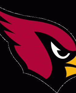 Arizona Cardinals Gear