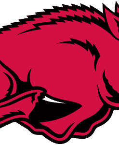 Arkansas Razorbacks Gear