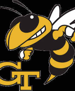 Georgia Tech Yellow Jackets Gear