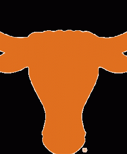 Texas Longhorns Gear