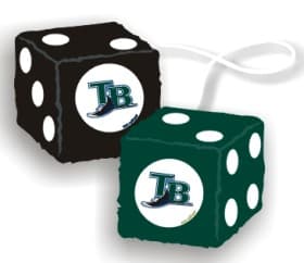 Tampa Bay Devil Rays Fuzzy Dice