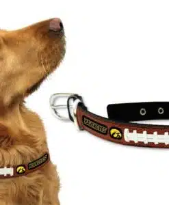 Iowa Hawkeyes Dog Collar - Large