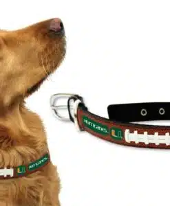 Miami Hurricanes Dog Collar - Medium