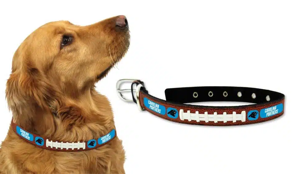 Carolina Panthers Dog Collar - Large