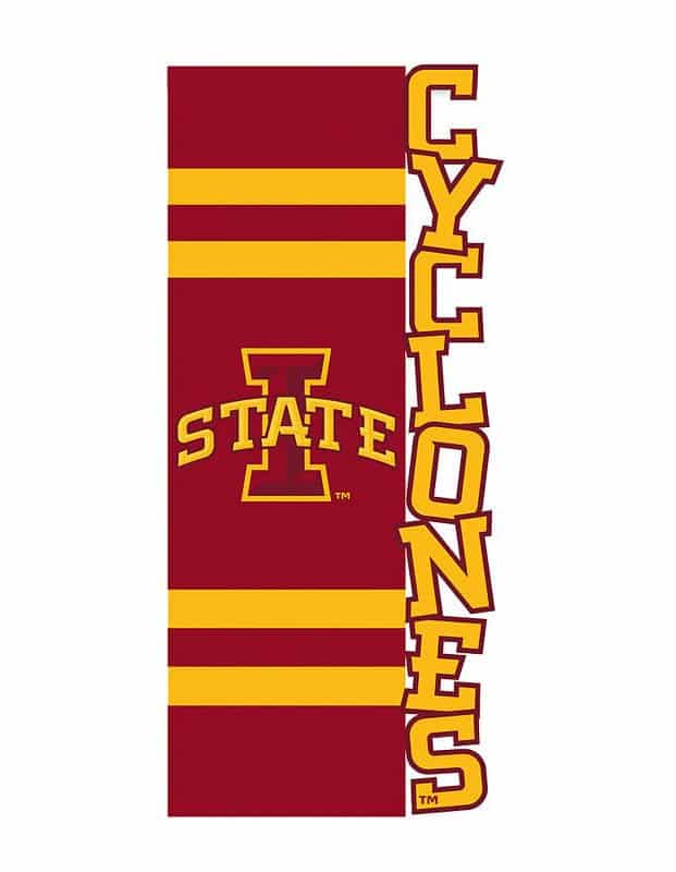 Iowa State Cyclones Applique Sculpted Garden Flag