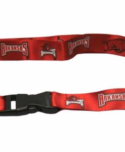 Arkansas Razorbacks Breakaway Lanyard with Key Ring
