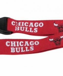 Chicago Bulls Breakaway Lanyard with Key Ring