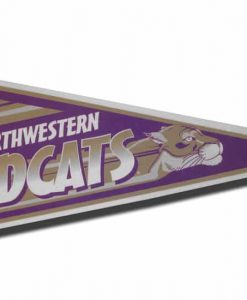 Northwestern Wildcats Pennant