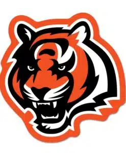 Cincinnati Bengals Logo on the GoGo