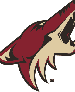 Arizona Coyotes Gear