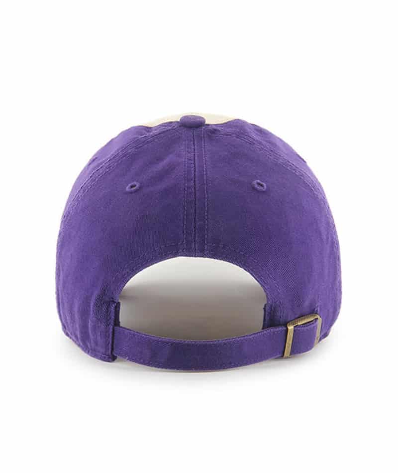 Minnesota Vikings 47 Brand Endicott Purple Clean Up Adjustable Hat ...
