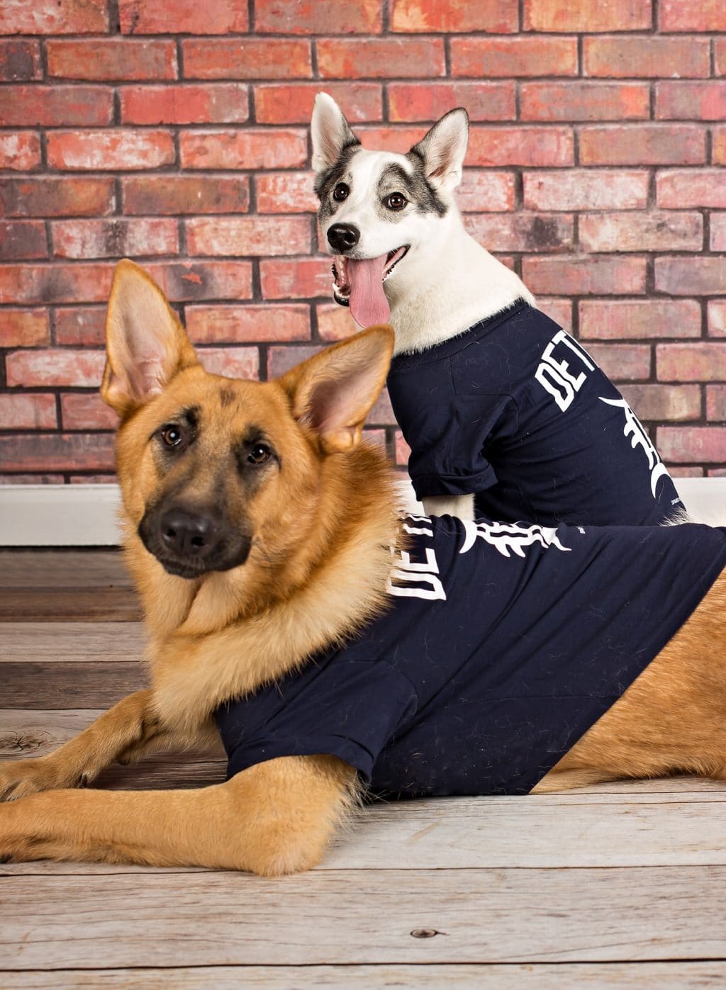 Detroit Tigers Navy Dog T-Shirt Tee