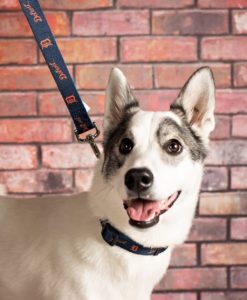 Detroit Tigers Dog Leash