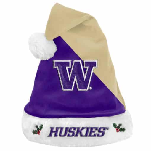 Washington Huskies 2020 Christmas Santa Hat