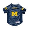 Michigan Wolverines Stretch Fit Big Dog Jersey