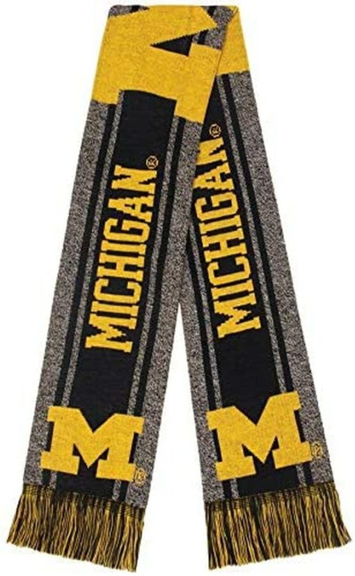 Michigan Wolverines Big Logo Woodmark Gray Scarf