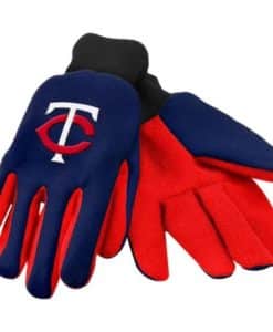 Minnesota Twins Two Tone Gloves - Youth Size