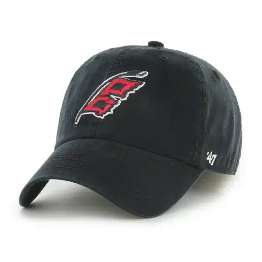 Carolina Hurricanes 47 Brand Classic Black Franchise Fitted Hat