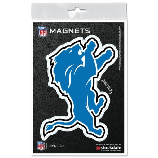 Detroit Lions Outdoor Magnet - 3" X 5"