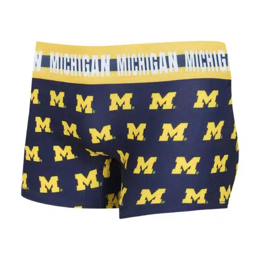 Michigan Wolverines Ladies Navy Hipster Knit Panty